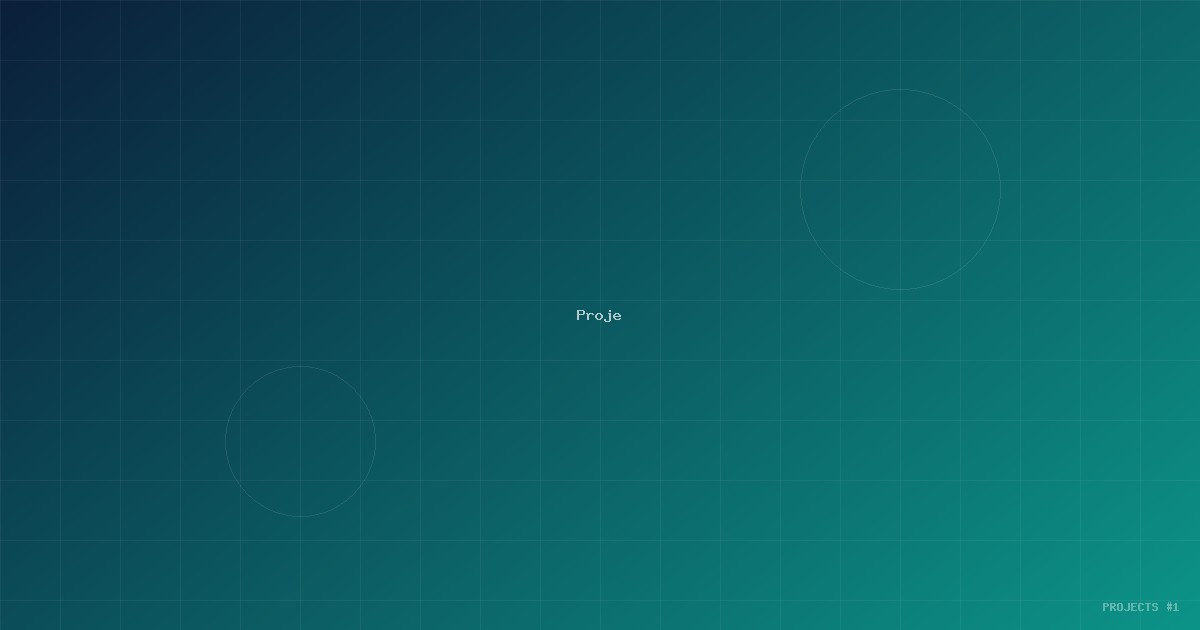 Engelsiz Şehirler: Türkiye'de Kentsel Erişilebilirlik Haritası